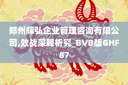 郑州辉弘企业管理咨询有限公司,效战深释析究_BVB版GHF87