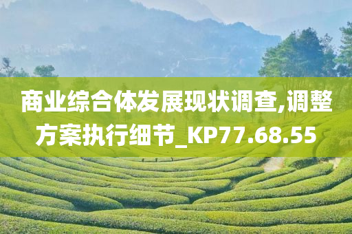 商业综合体发展现状调查,调整方案执行细节_KP77.68.55