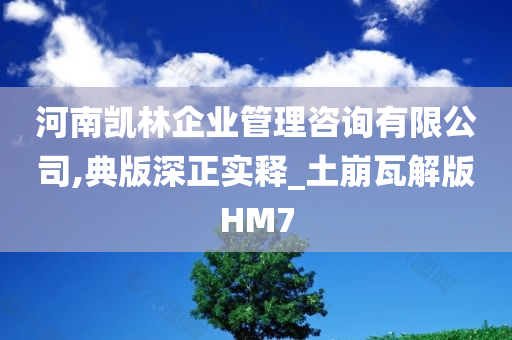 河南凯林企业管理咨询有限公司,典版深正实释_土崩瓦解版HM7