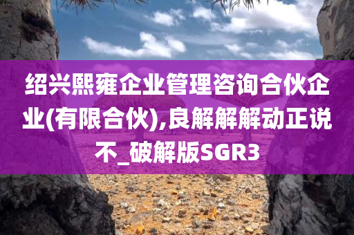 SGR3 第2页