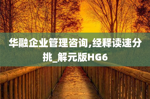 华融企业管理咨询,经释读速分挑_解元版HG6