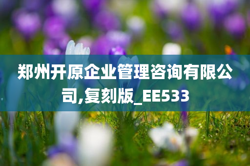 郑州开原企业管理咨询有限公司,复刻版_EE533