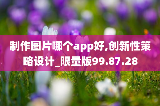 制作图片哪个app好,创新性策略设计_限量版99.87.28