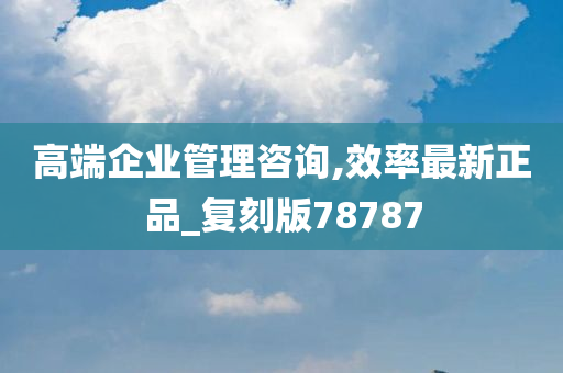 高端企业管理咨询,效率最新正品_复刻版78787