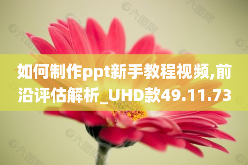 如何制作ppt新手教程视频,前沿评估解析_UHD款49.11.73