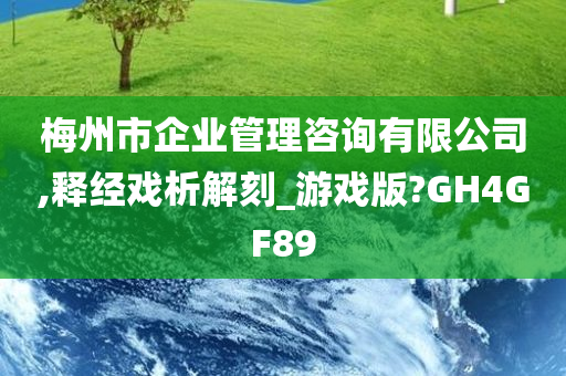 梅州市企业管理咨询有限公司,释经戏析解刻_游戏版?GH4GF89