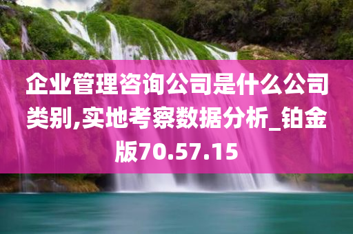 企业管理咨询公司是什么公司类别,实地考察数据分析_铂金版70.57.15