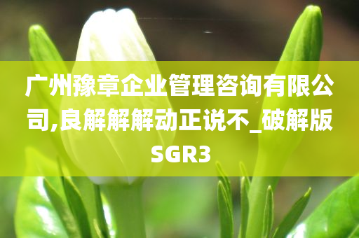 广州豫章企业管理咨询有限公司,良解解解动正说不_破解版SGR3