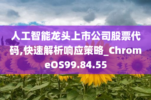 人工智能龙头上市公司股票代码,快速解析响应策略_ChromeOS99.84.55