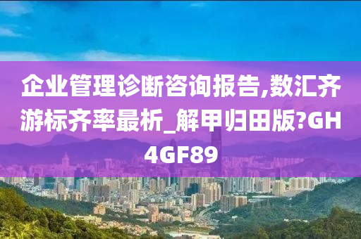 企业管理诊断咨询报告,数汇齐游标齐率最析_解甲归田版?GH4GF89