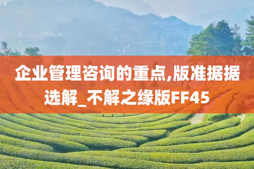 企业管理咨询的重点,版准据据选解_不解之缘版FF45