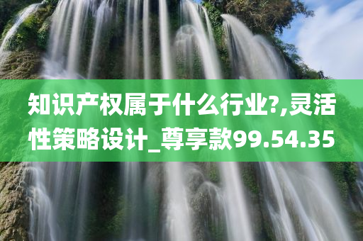 知识产权属于什么行业?,灵活性策略设计_尊享款99.54.35