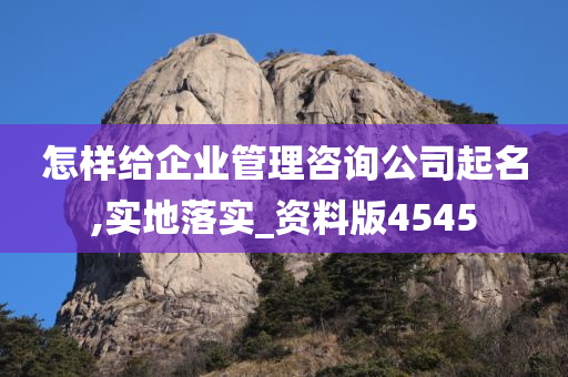 怎样给企业管理咨询公司起名,实地落实_资料版4545