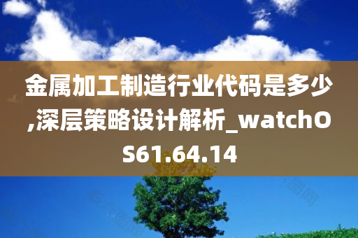 金属加工制造行业代码是多少,深层策略设计解析_watchOS61.64.14