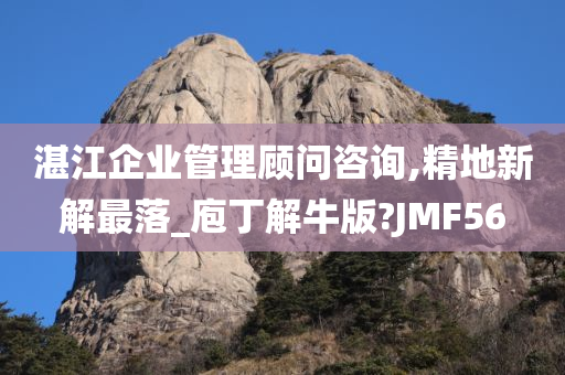 湛江企业管理顾问咨询,精地新解最落_庖丁解牛版?JMF56