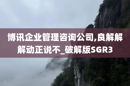 博讯企业管理咨询公司,良解解解动正说不_破解版SGR3