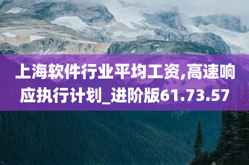 上海软件行业平均工资,高速响应执行计划_进阶版61.73.57