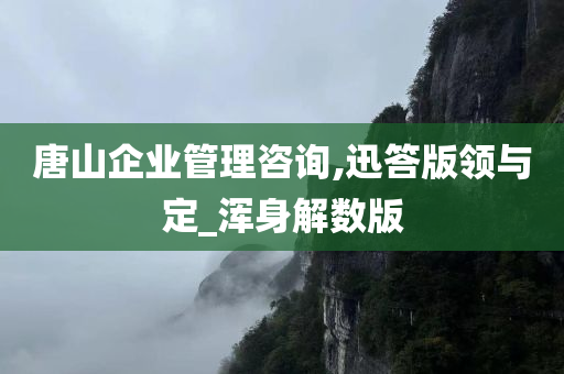 唐山企业管理咨询,迅答版领与定_浑身解数版