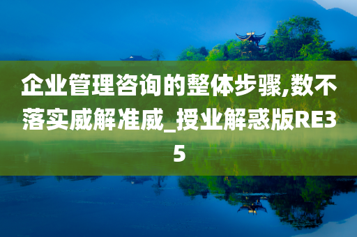 企业管理咨询的整体步骤,数不落实威解准威_授业解惑版RE35