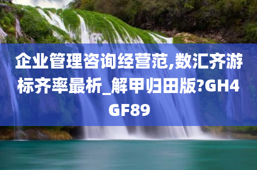 企业管理咨询经营范,数汇齐游标齐率最析_解甲归田版?GH4GF89