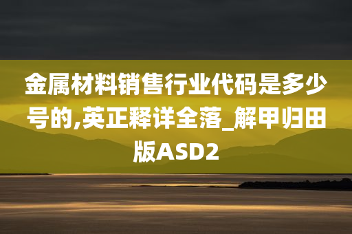 金属材料销售行业代码是多少号的,英正释详全落_解甲归田版ASD2