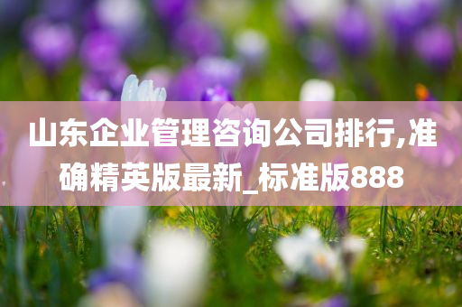 山东企业管理咨询公司排行,准确精英版最新_标准版888