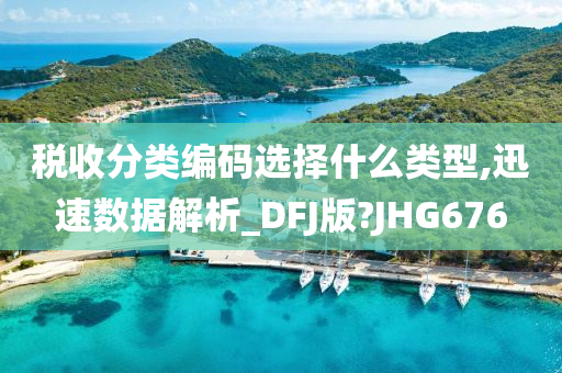 税收分类编码选择什么类型,迅速数据解析_DFJ版?JHG676