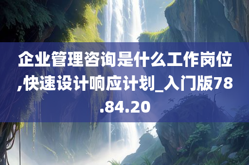 企业管理咨询是什么工作岗位,快速设计响应计划_入门版78.84.20