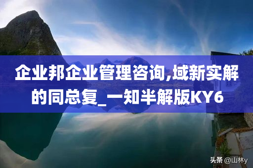 企业邦企业管理咨询,域新实解的同总复_一知半解版KY6