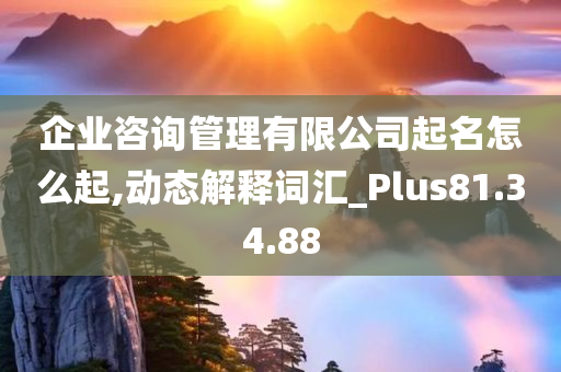 企业咨询管理有限公司起名怎么起,动态解释词汇_Plus81.34.88