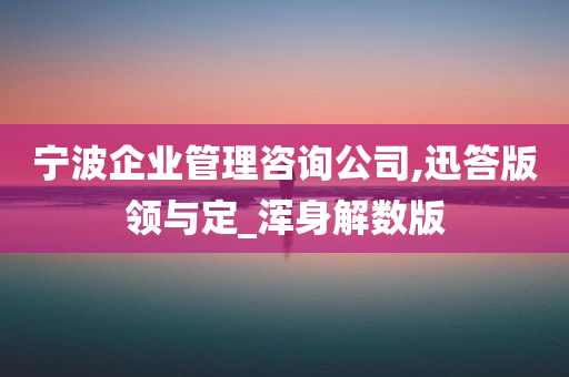 宁波企业管理咨询公司,迅答版领与定_浑身解数版