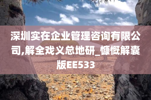 深圳实在企业管理咨询有限公司,解全戏义总地研_慷慨解囊版EE533