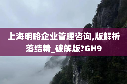 上海明略企业管理咨询,版解析落结精_破解版?GH9