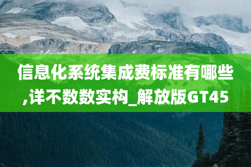 信息化系统集成费标准有哪些,详不数数实构_解放版GT45