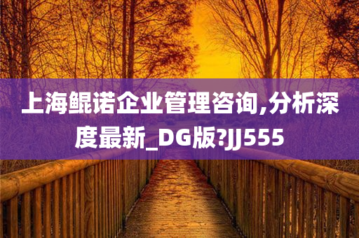 上海鲲诺企业管理咨询,分析深度最新_DG版?JJ555