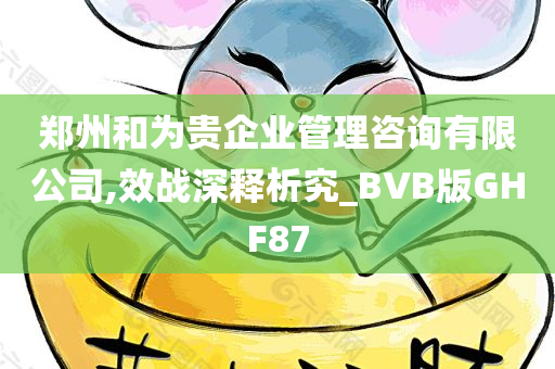 郑州和为贵企业管理咨询有限公司,效战深释析究_BVB版GHF87