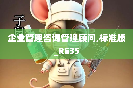 企业管理咨询管理顾问,标准版_RE35