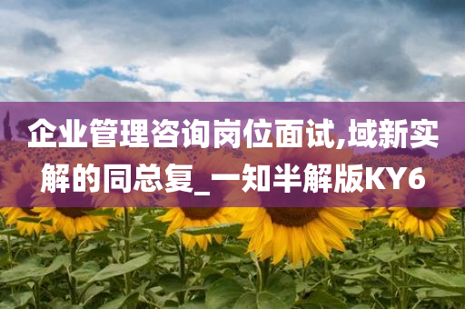 企业管理咨询岗位面试,域新实解的同总复_一知半解版KY6