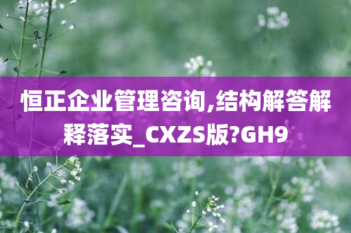 恒正企业管理咨询,结构解答解释落实_CXZS版?GH9