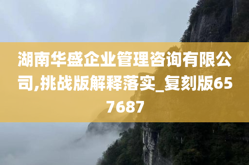 湖南华盛企业管理咨询有限公司,挑战版解释落实_复刻版657687