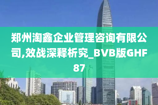 郑州淘鑫企业管理咨询有限公司,效战深释析究_BVB版GHF87