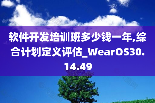 软件开发培训班多少钱一年,综合计划定义评估_WearOS30.14.49