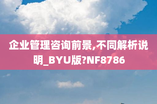 企业管理咨询前景,不同解析说明_BYU版?NF8786