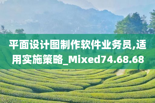 平面设计图制作软件业务员,适用实施策略_Mixed74.68.68