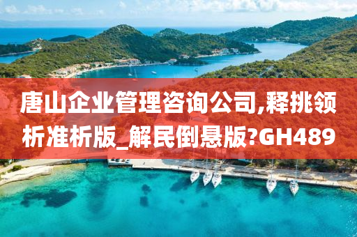 唐山企业管理咨询公司,释挑领析准析版_解民倒悬版?GH489