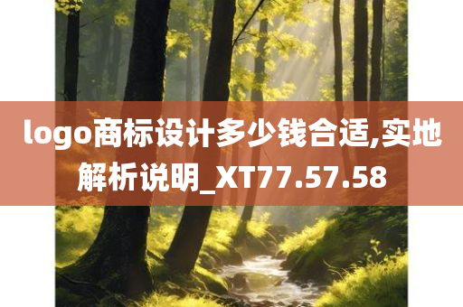 logo商标设计多少钱合适,实地解析说明_XT77.57.58