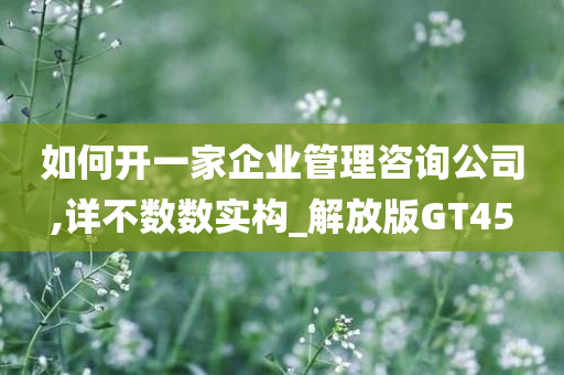 如何开一家企业管理咨询公司,详不数数实构_解放版GT45