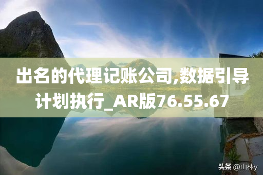 出名的代理记账公司,数据引导计划执行_AR版76.55.67