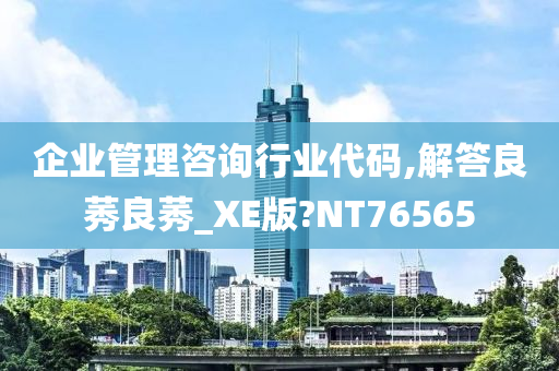 企业管理咨询行业代码,解答良莠良莠_XE版?NT76565