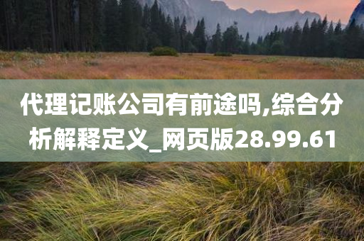 代理记账公司有前途吗,综合分析解释定义_网页版28.99.61